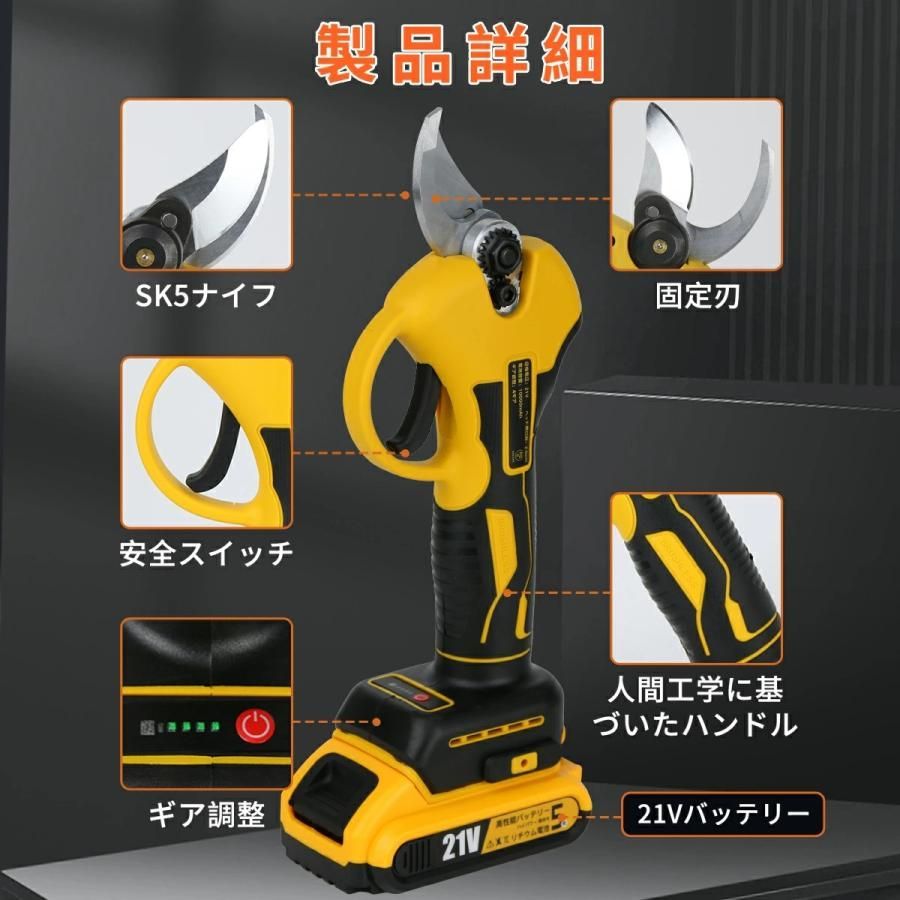 充電式