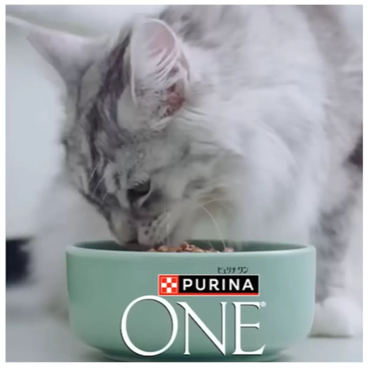 ピュリナワンキャット キャットドライ 4kg 避妊・去勢した猫の