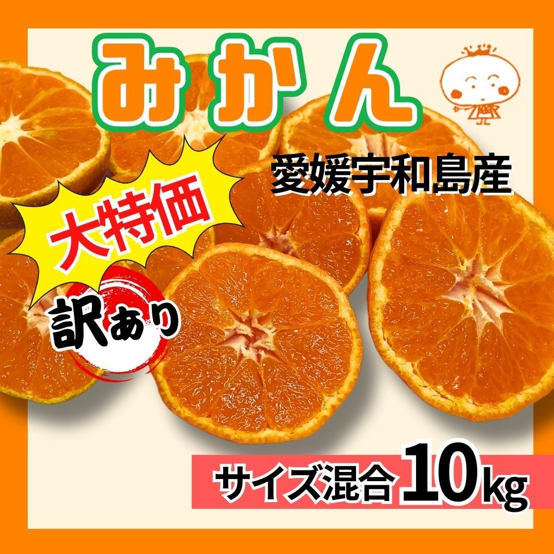 【超お買い得】愛媛県産　愛媛みかん　１０ｋｇ補償有