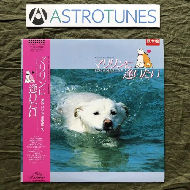 2025年最新】石野陽子 レコードの人気アイテム - メルカリ