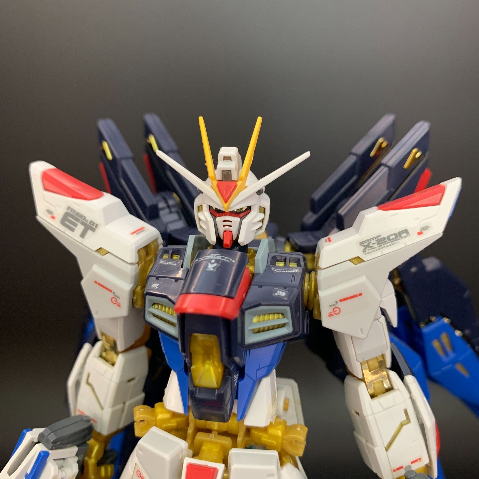 ガンプラ【中古ジャンク品/破損あり】 RG 1/144 ストライクフリーダムガンダム バンダイ プレバン 625
