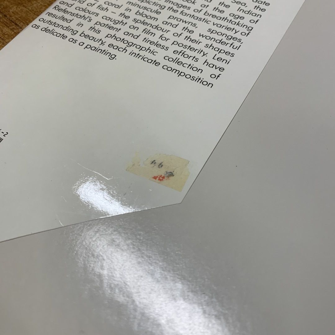 WONDERS UNDER WATER　写真集 △01)【同梱不可】レニ・リーフェンシュタール 写真作品集