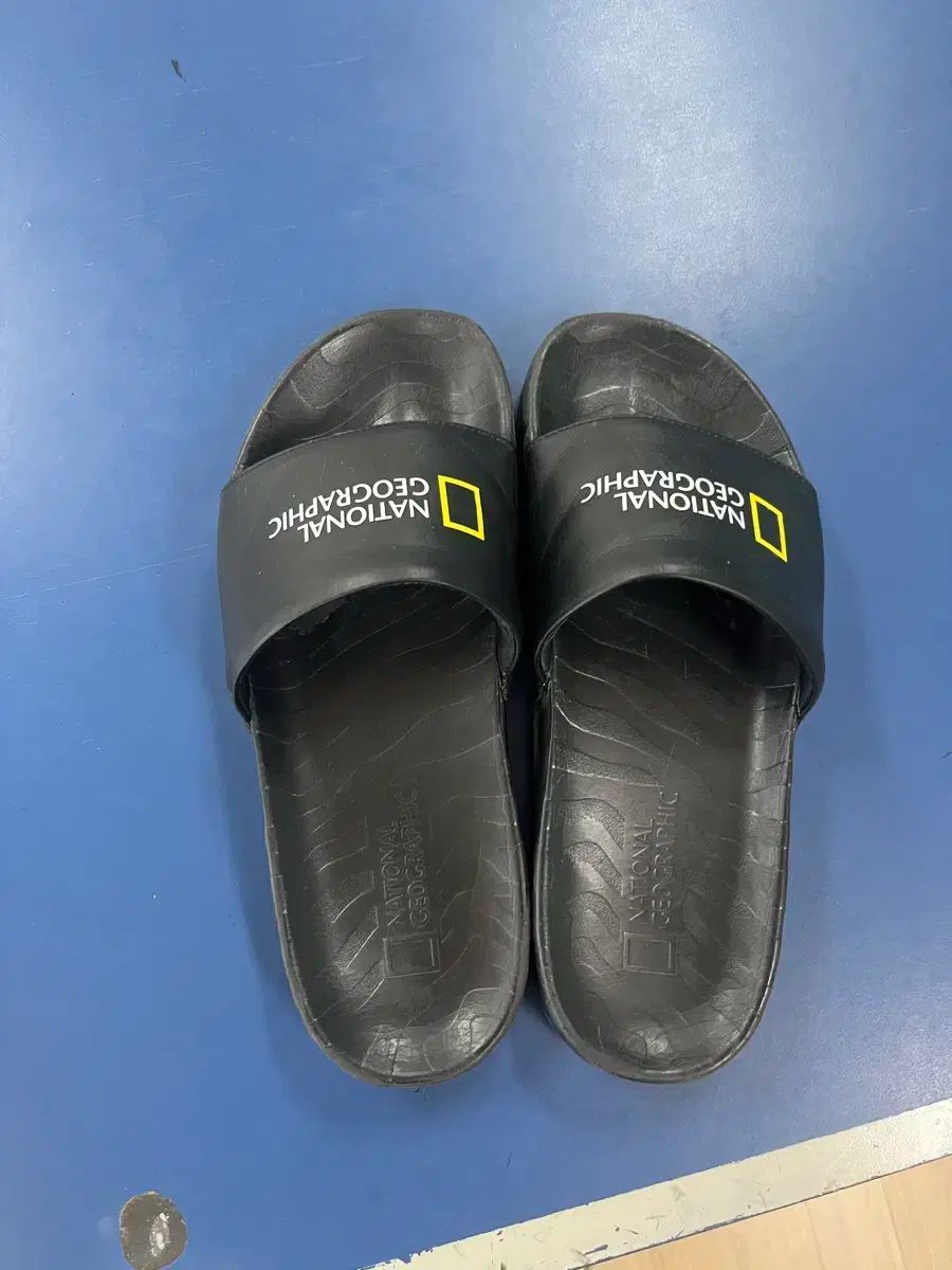 電気スリッパ ナショナル DF-15 観賞用 【公式通販】