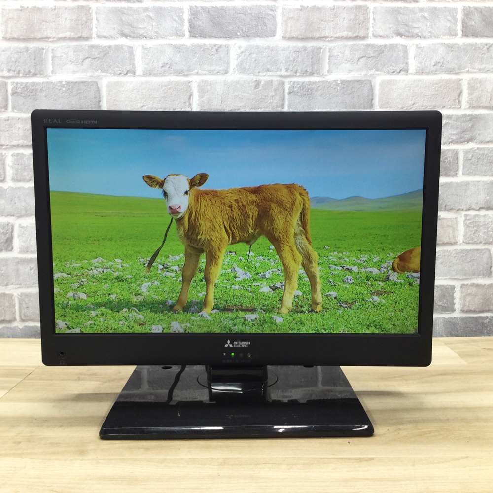 三菱電機 テレビ 19型 REAL DSM-19L7 1人暮らし