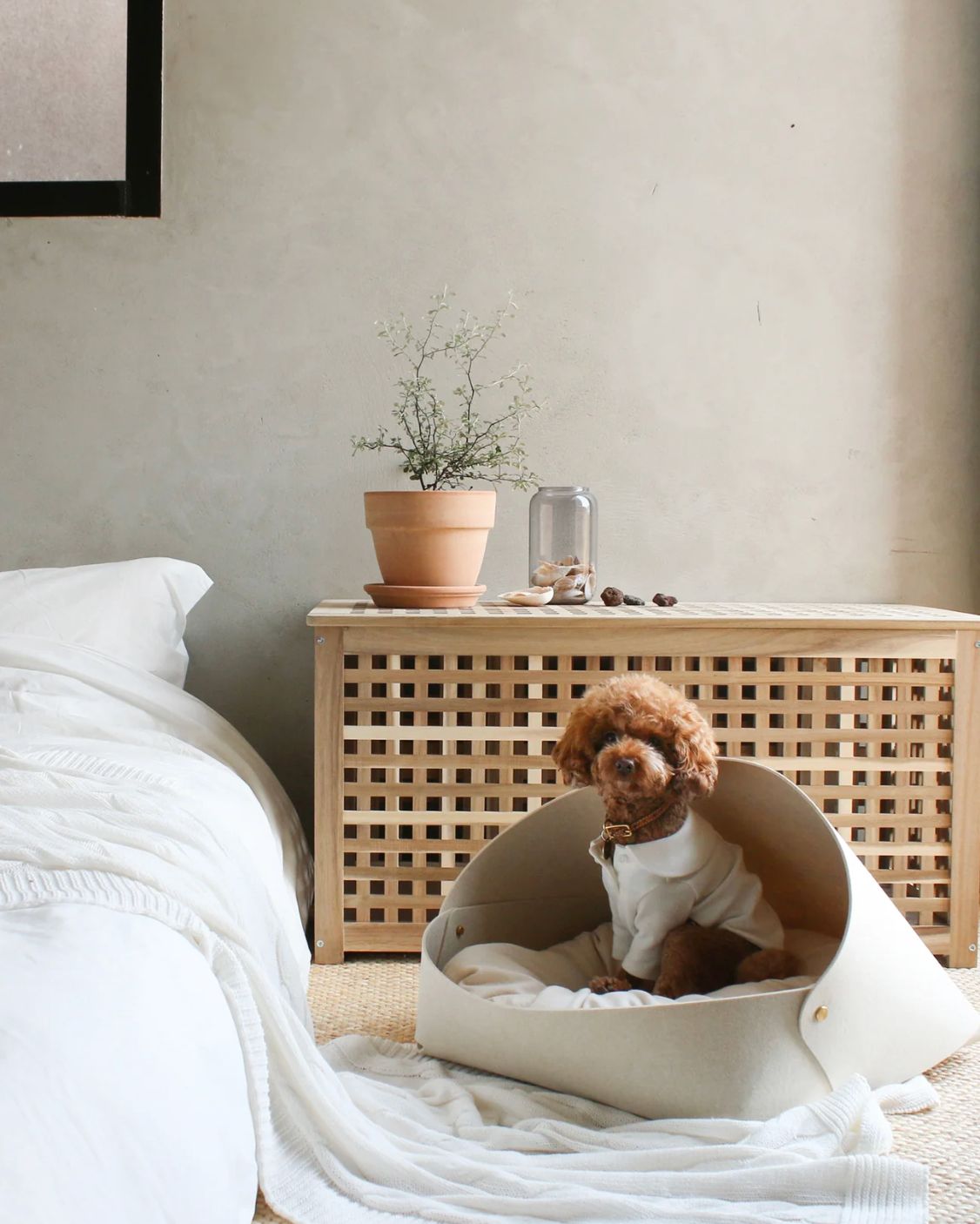 店頭見本品 PETS SO GOOD｜Marron Bed Oatmeal 犬 ベッド 小型犬 海外直輸入 ペットグッズ