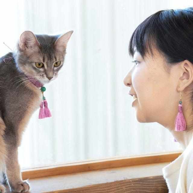 京念珠 ねこのわ 中野伊助 猫用ネックレス ＆ ピアスセット HEIAN