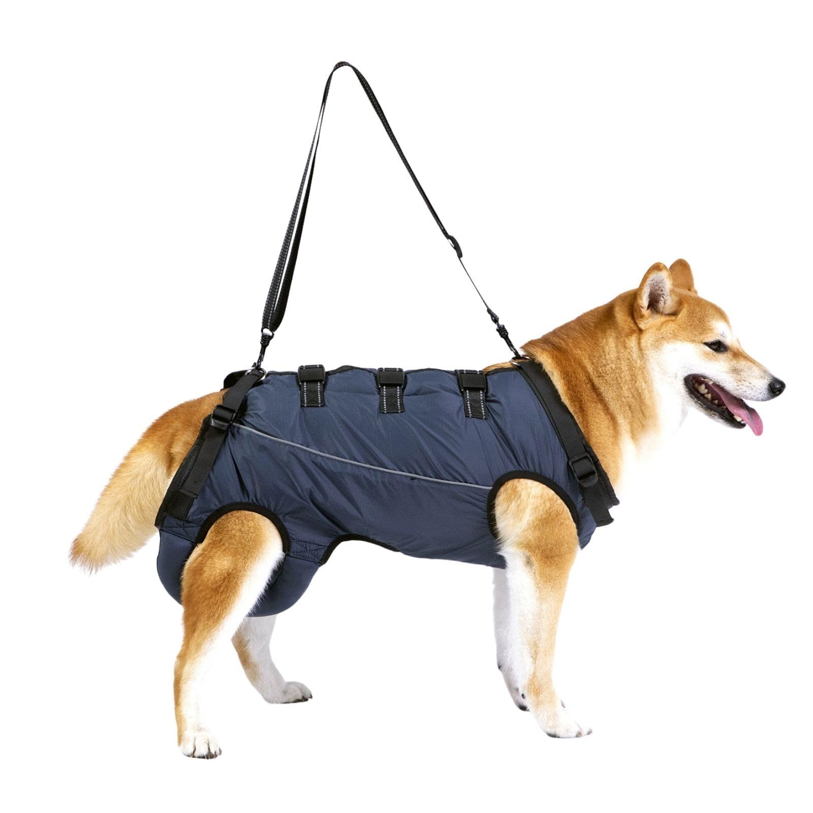 チャレンジャー クラッシャーハット ラッツ ネイバーフッド ポークチョップ