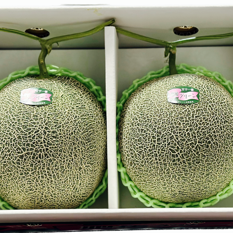 熊本 産地直送 肥後グリーン メロン 青肉 2玉 約3㎏ 特A優品 (001) 熊本県産  フルーツ 果物 ギフト プレゼント用【バイヤー推奨商品】発送予定日 ６月初旬
