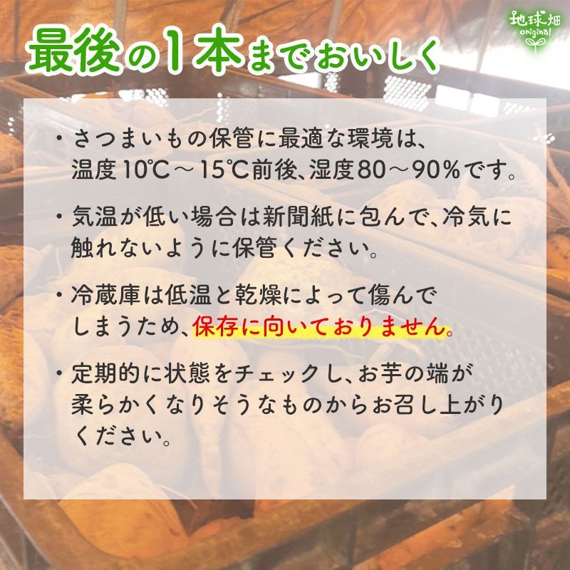 1月発送 向江さんの有機安納芋 MLサイズ 20kg 1本100～500g 種子島産 土付き 有機栽培 化学肥料・農薬不使用 さつまいも あんのういも 有機JAS 産地直送