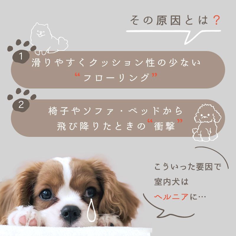 送料無料】ドッグステップ 犬 階段 ステップ 2段 ワイドタイプ 犬用