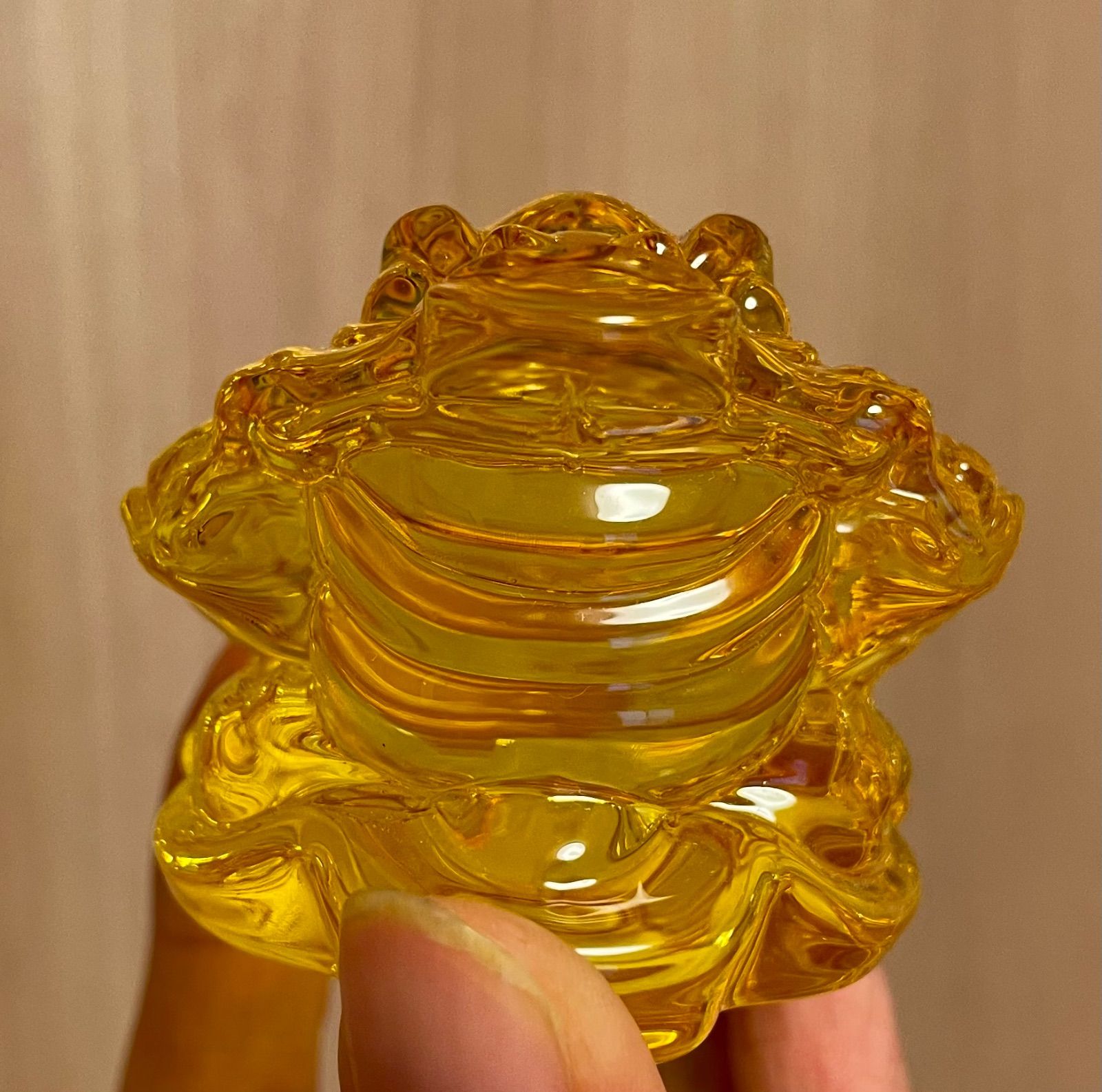 銭蛙 三本足蛙 金蟾 財を集めるカエル キンセン ヒキガエル