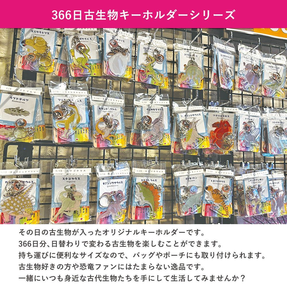 366日古生物キーホルダー 8月11日 チンタオサウルス アクリル
