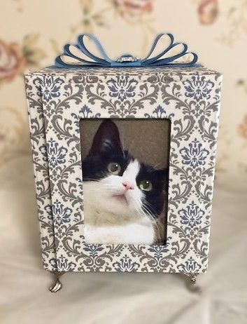 ビジュー選べます ペット用仏壇