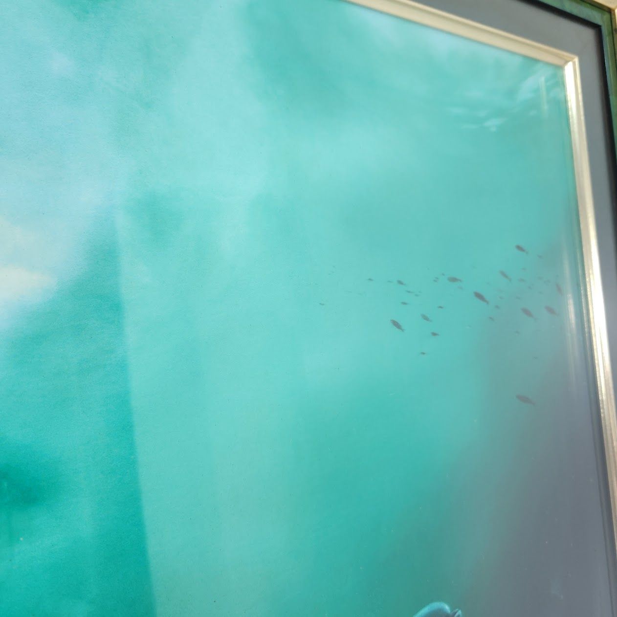 ワイランド Robert Wyland チルドレンオブザシー 46 250 WWW_IBETON_RU