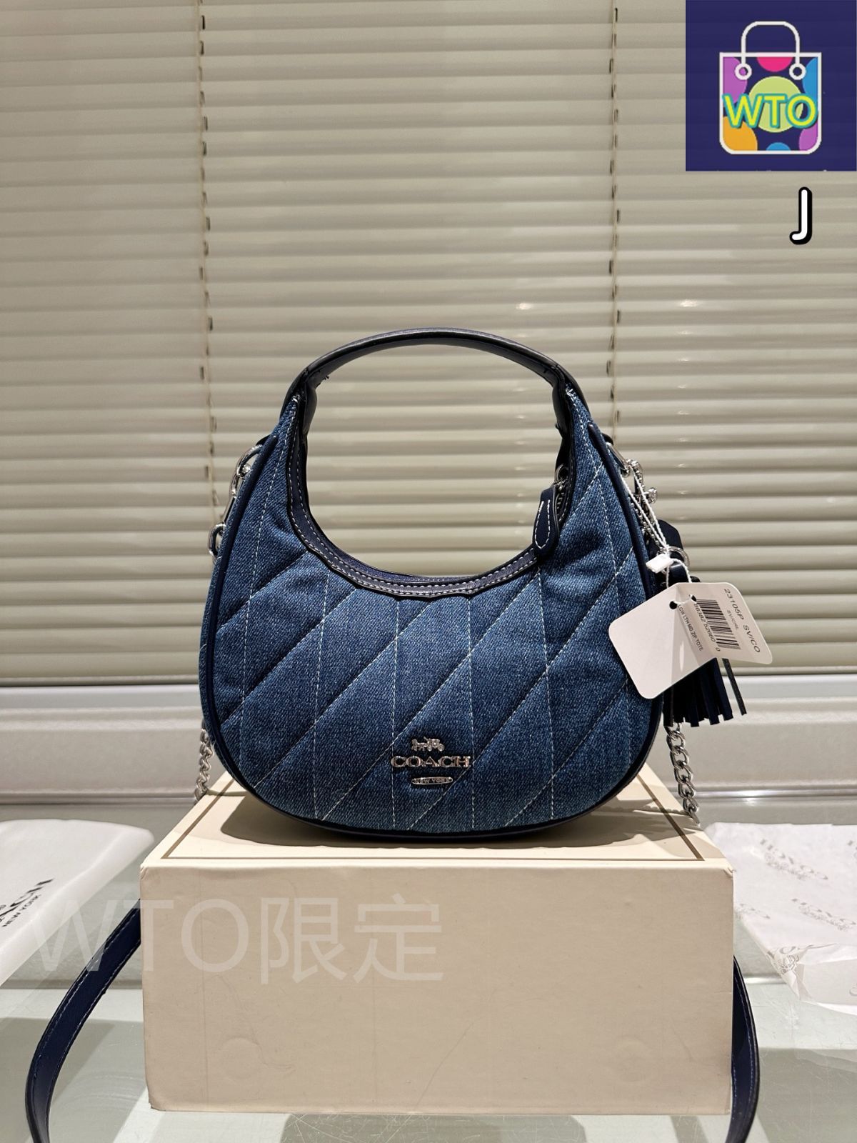今日 Coach ムーンバッグ チェーンバッグ 21×19cm-WTO輸入