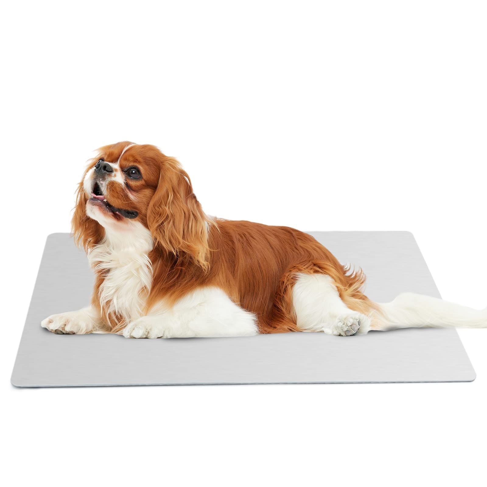 カントリー・ベアーズ [DVD]