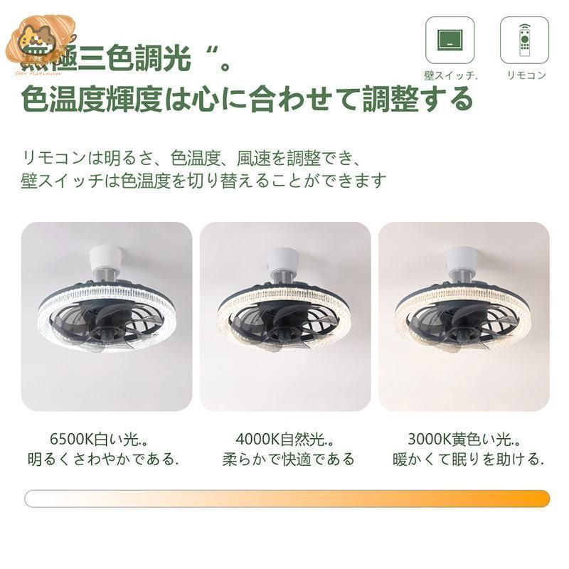 天井照明