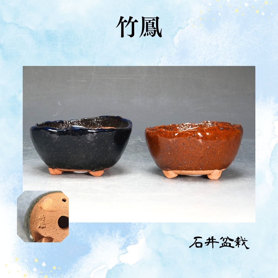 ショップ 竹鳳 作 丸鉢 盆栽鉢 お得な2個セット p-084