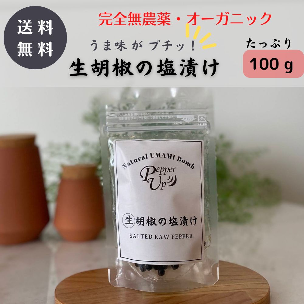 生胡椒の塩漬け・100g ◇キャンプ・アウトドア・BBQに便利な新感覚