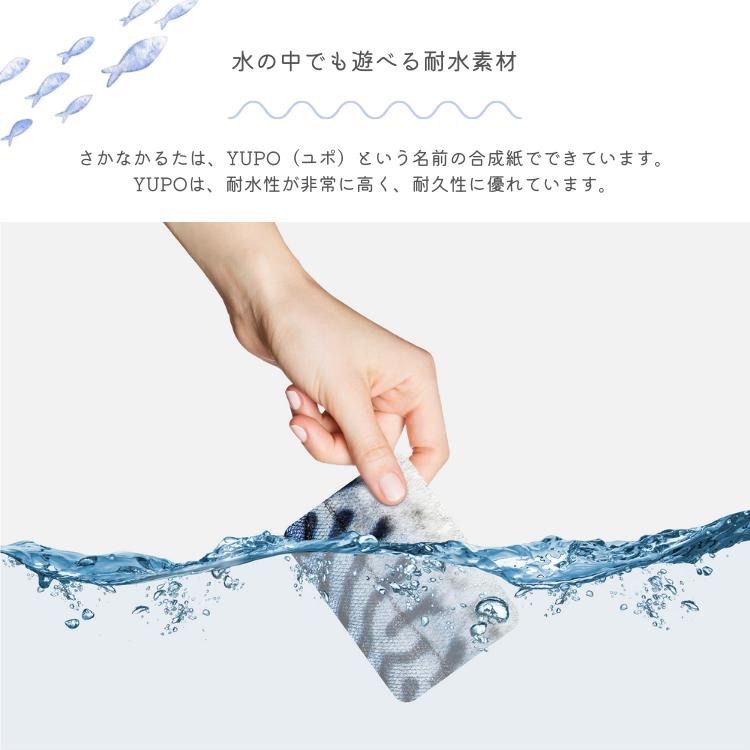 淡水魚版
