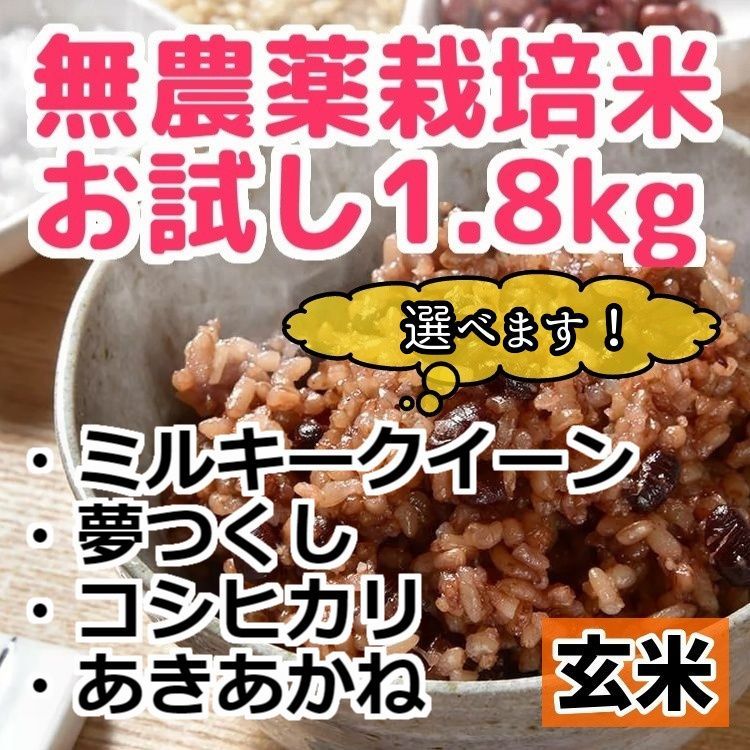 【選べる無農薬米】令和4年産 無農薬栽培米 [玄米] 10kg