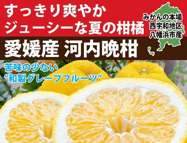 有名農園