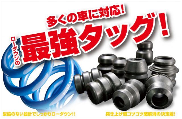 [ESPELIR]JE1 ゼストスポーツ(2WD/ターボ)用スーパーダウンサス+バンプラバー