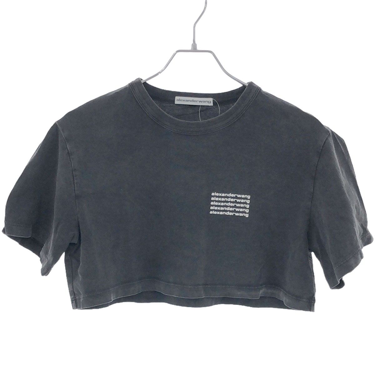 ALEXANDER WANG アレキサンダーワン アシッドウォッシュジャージークロップTシャツ グレー XS 1CC2221632 - メルカリ