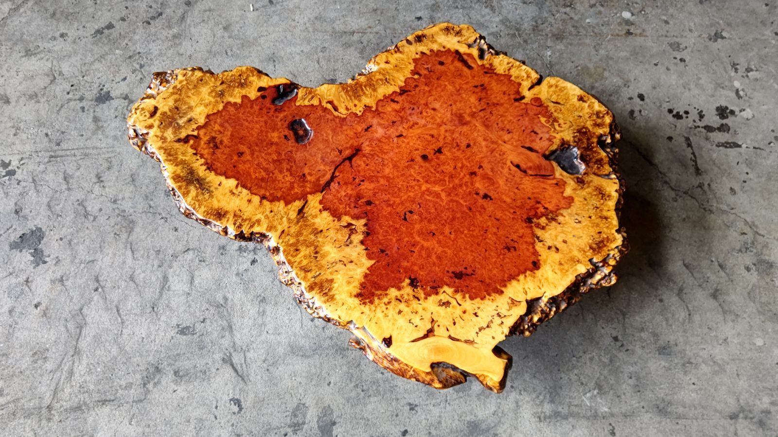 花梨　天然　木材　銘木　希少　葡萄杢　座卓　花台 送料込み！ 高級花梨材 葡萄杢 座卓 玉杢 一枚板 無垢材 銘木 瘤