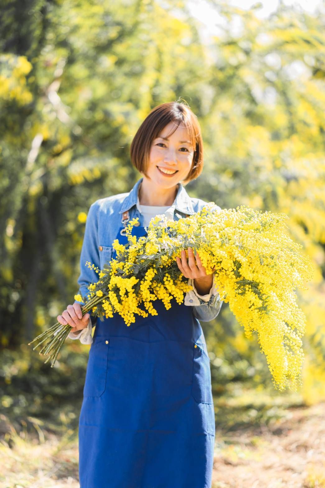 ミモザ切り花ロング 140サイズ