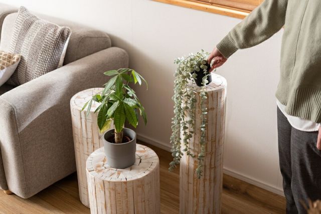 ナチュラル プランターベース