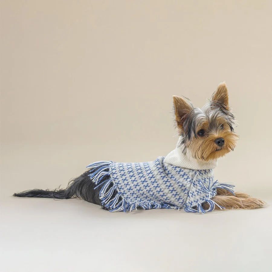 Wasi ドッグ ウーリーウィンター ウーリー 犬 woolly
