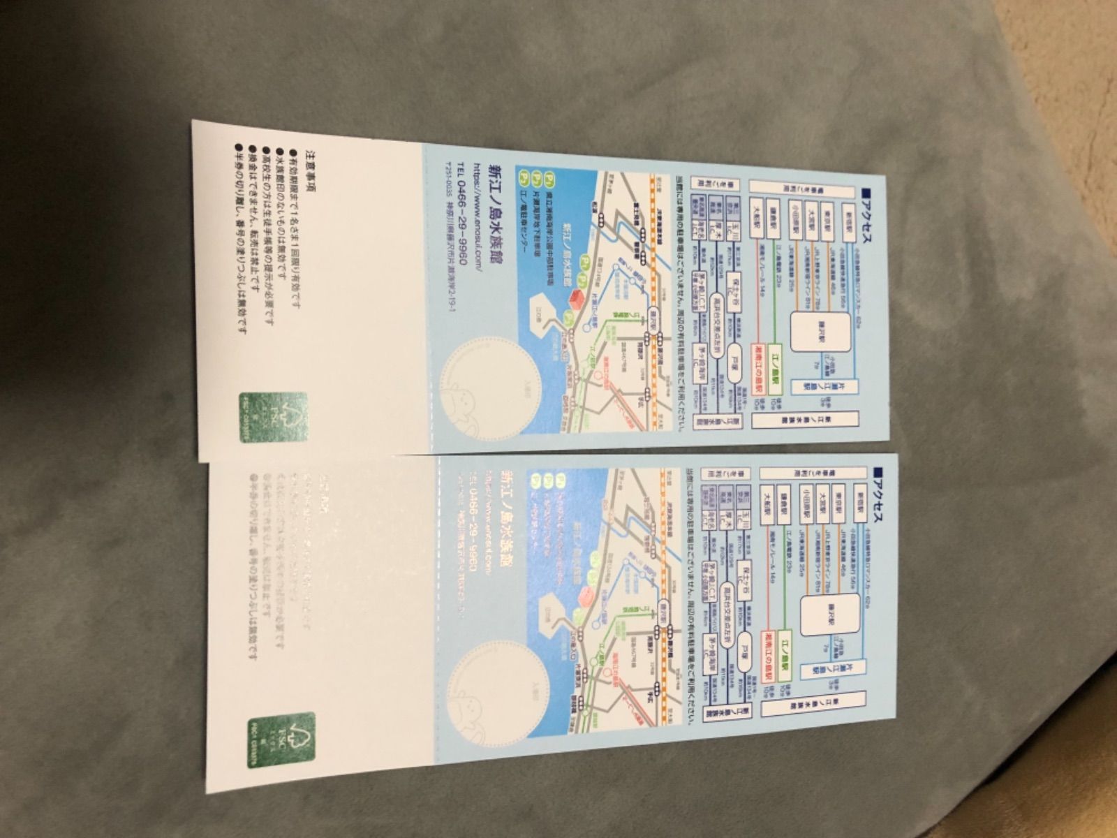 新江ノ島水族館 招待券2枚組 12月31日迄