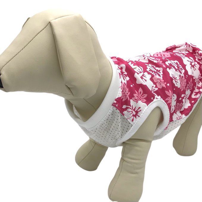犬服　pukarinmama　ハンドメイド ハンドメイド犬服‧✧̣̥̇‧poroa‧✧̣̥̇‧ (@poroa.handmade