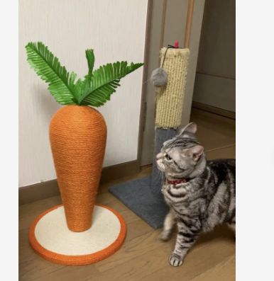 頑丈 長持ち