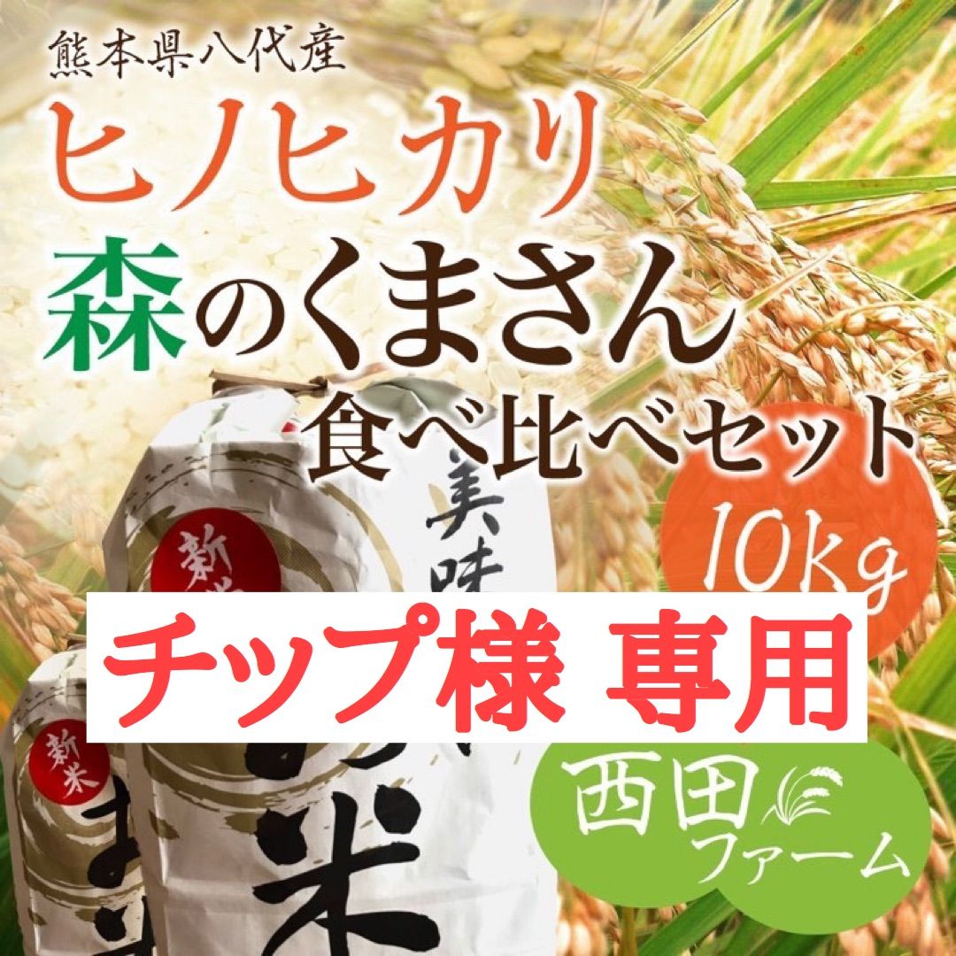 熊本県八代産 令和4年新米 森のくまさん 10kg