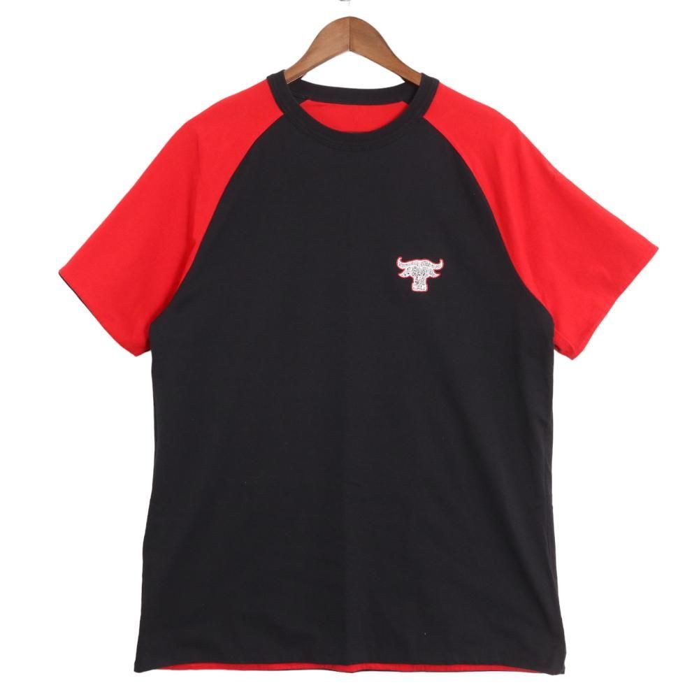 ディオールオム × ショーン ステューシー CHICAGO BULLS シカゴ