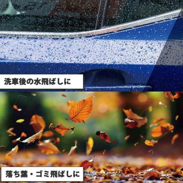 日動 エアダスター 突風GUN ブロワー TPG PI M トムキャット火起こし 屋内用充電式 清掃 掃除 洗車 水飛ばし 水滴飛ばし エアブロー 696 9637