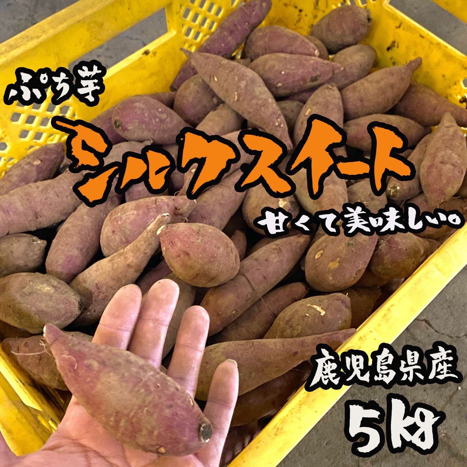 数量限定値下げ◎鹿児島県産 ぷち芋 シルクスイート 5kg おやつにピッタリ◎