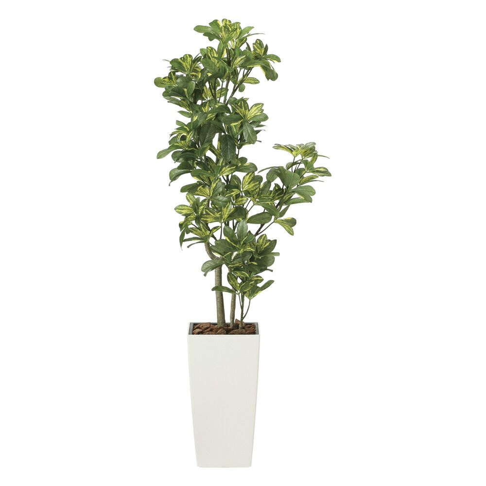 光触媒観葉植物 シェフレラ1.3 〔フロアタイプ〕 インテリア フェイクグリーン おしゃれ アートグリーン 緑 リビング 鉢植え プレゼント ギフト 玄関 キッチン 部屋に飾る 御祝 店舗 オフィ