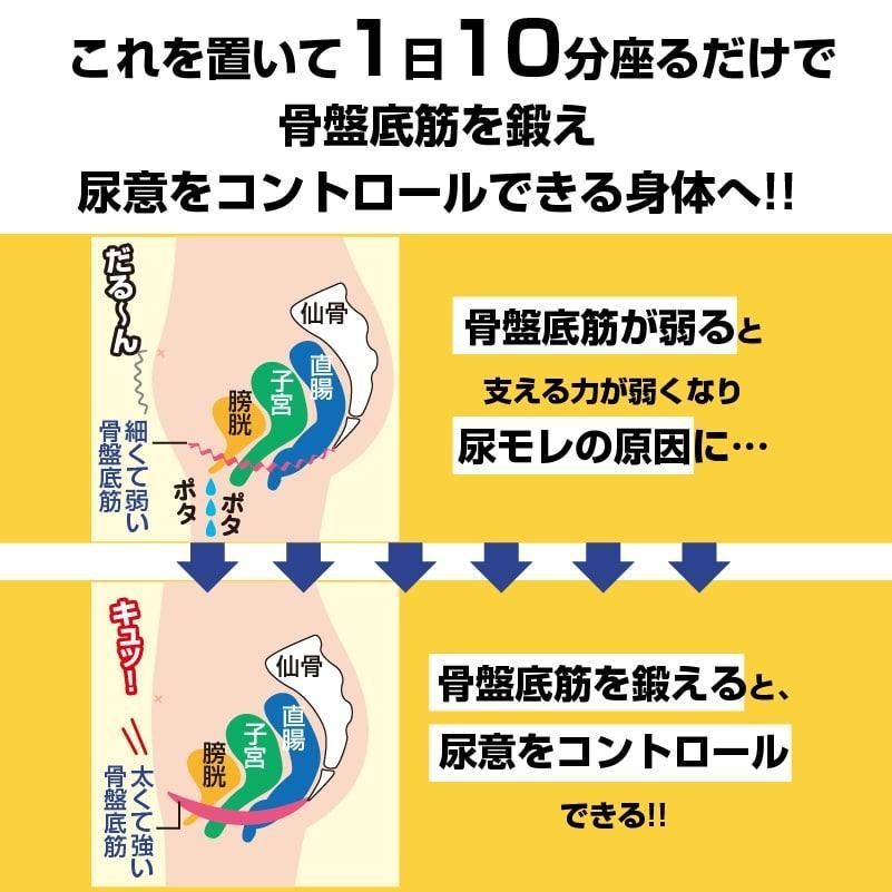 リカちゃんのモレトメールプレミアム 1日10分 尿モレ対策習慣 骨盤底筋