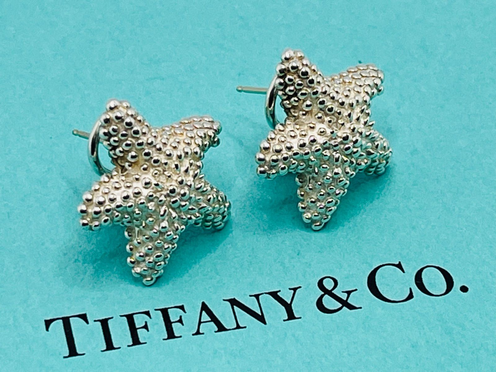 【Tiffany】【廃盤希少】Loveシングルピアス 希少廃盤TIFFANY&Co. ティファニーバンブーピアスラージサイズ