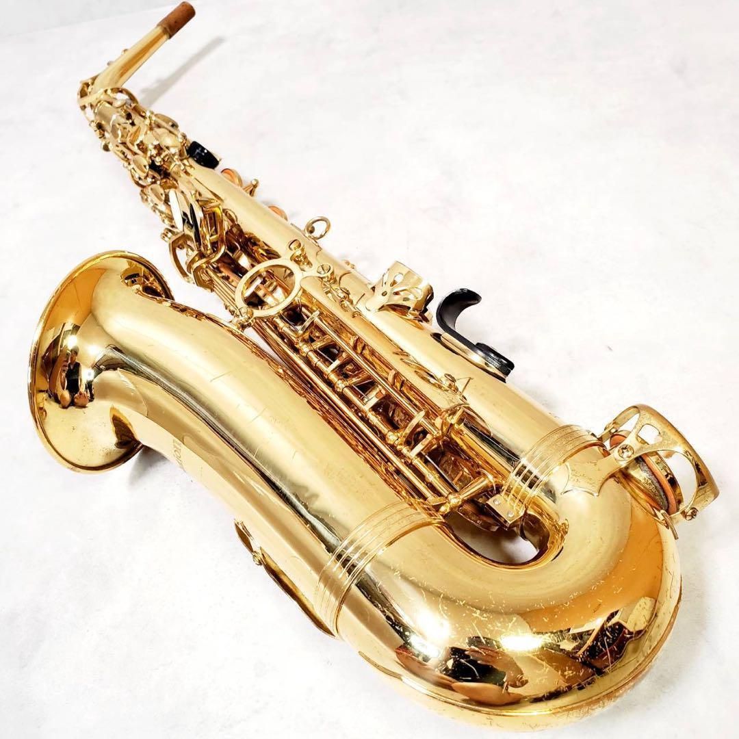 トレバージェイムス アルトサックス ハードケース付 WWW_TRAVELLANDINDIA_COM