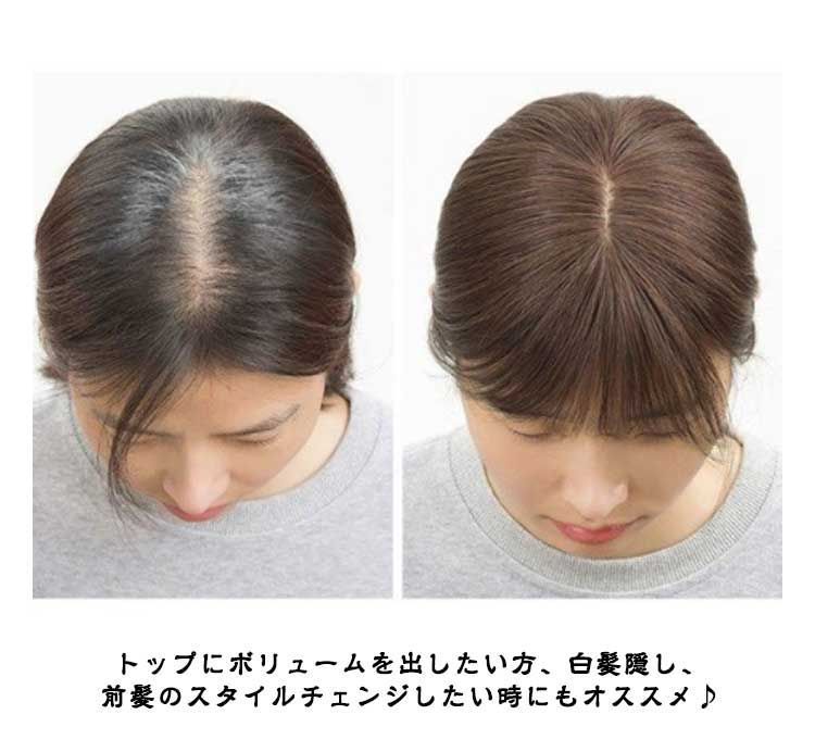 ヘアピース 部分ウィッグ