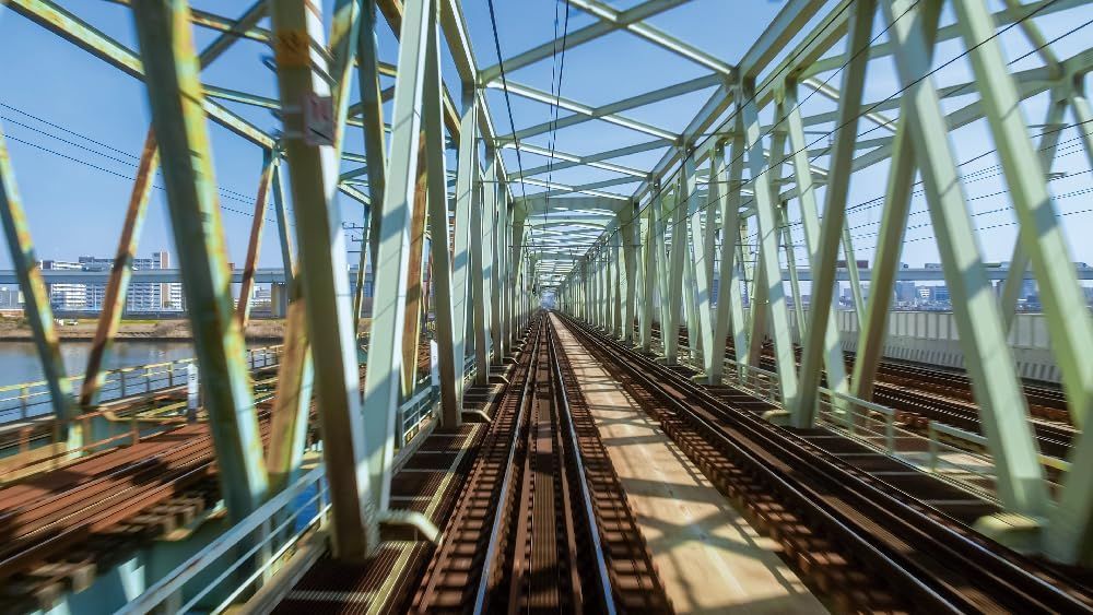 34cm 綺麗 (直線31.5cm) コレクションや観賞用におすすめいたします 34cm 綺麗 (直線31.5cm) コレクションや観賞用におすすめいたします