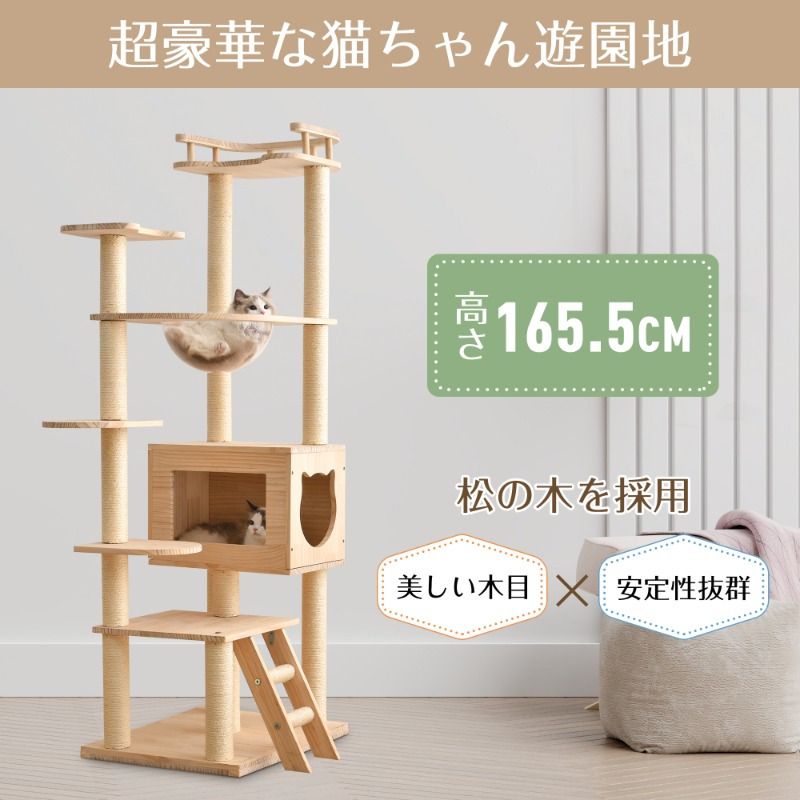 ファッショナブルなペット構造