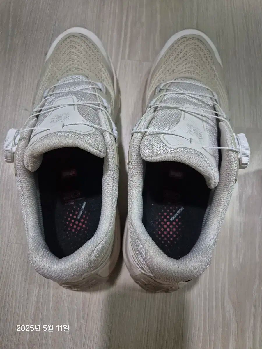 Kolon