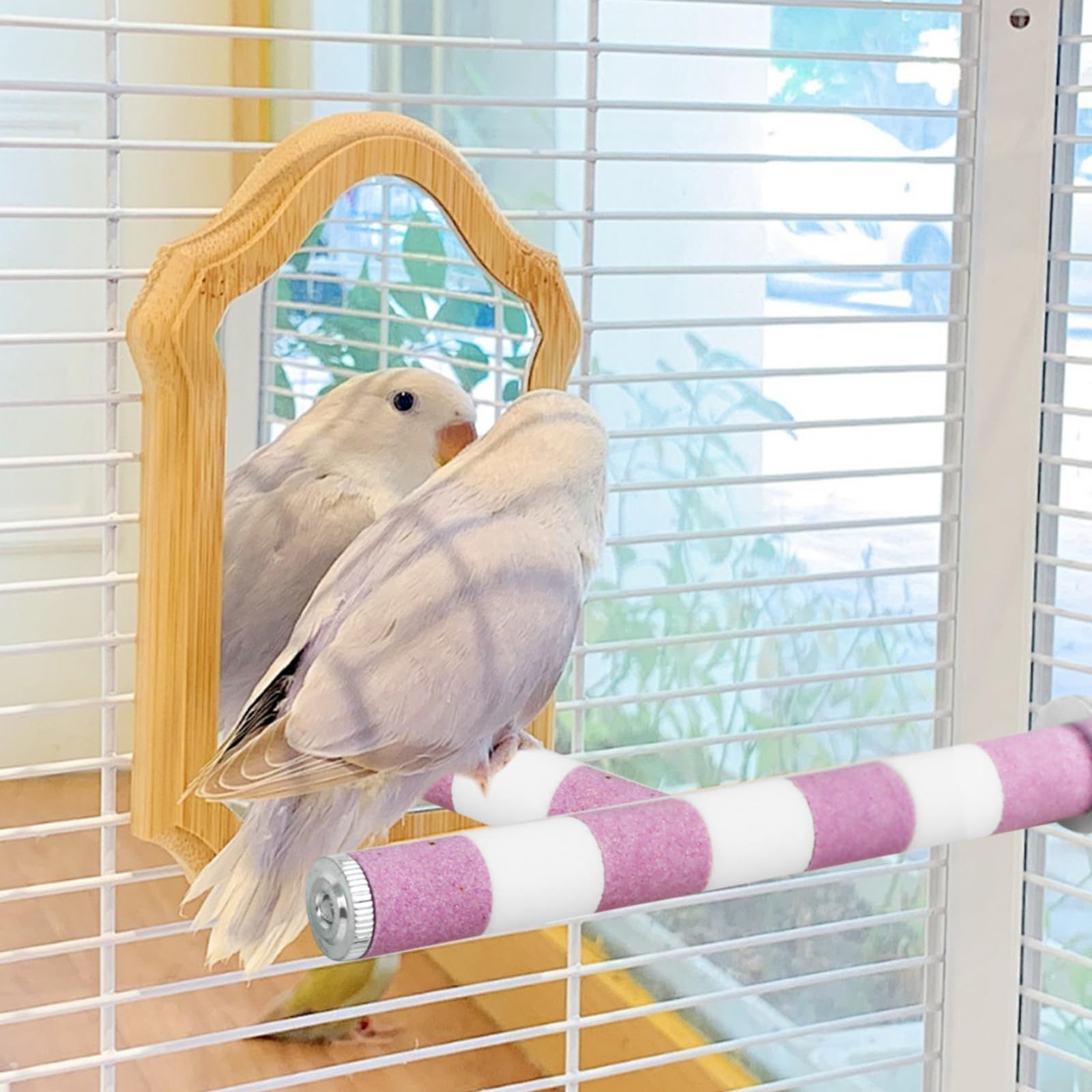 爪を磨く 文鳥 小鳥 噛む玩具 インコ オウム 鳥休み場所 鳥用爪とぎ棒 噛むおもちゃ バランス練習 爪研ぎパーチ ねじ止め鳥棒 インコ 鳥用パーチ  2本セット オウム 止まり木 鳥 20cm/本 DIFEIUKI - メルカリ