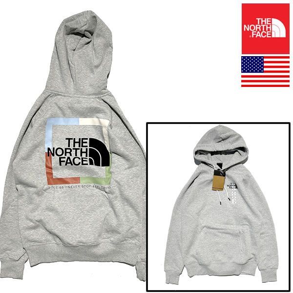 新品◇正規品◇The North Face Women's NOVELTY GRAPHIC HOODIE ノース