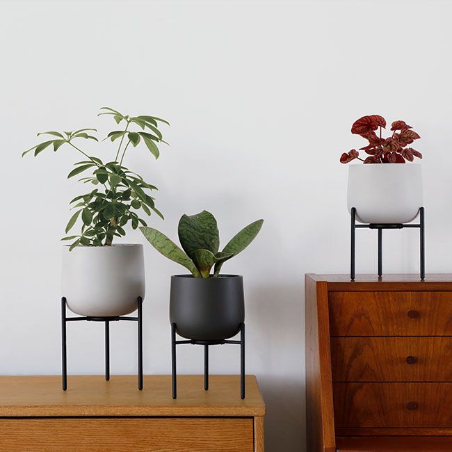 Errington Reay & Co. 英国製 大型テラコッタ ポット 植木鉢